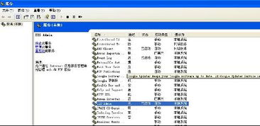為什么Internet信息服務(wù)中沒(méi)有項(xiàng)目顯示？